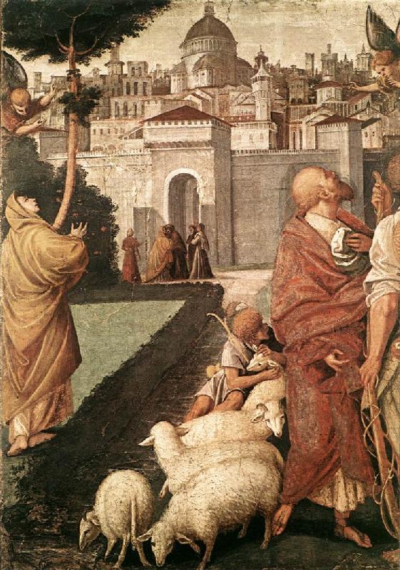 FERRARI, Gaudenzio The Annunciation to Joachim and Anna dfg France oil painting art
